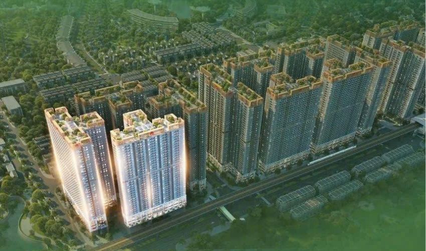 Chung cư The Flame Vine cập nhật thông tin mới nhất từ CĐT