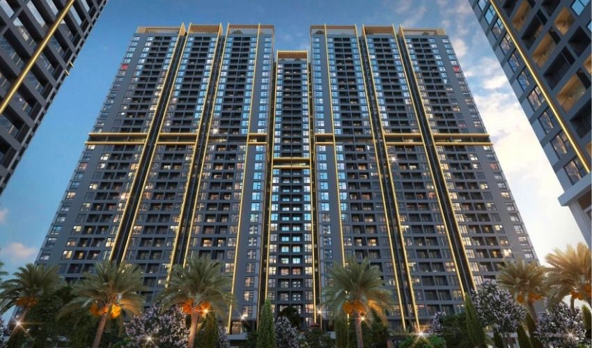 Chung cư The Flame Vine được phát triển bởi chủ đầu tư Tổng Công ty Cổ phần Thương mại Xây dựng WTO